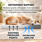 Cooling Gel Memory Foam Pet Bed