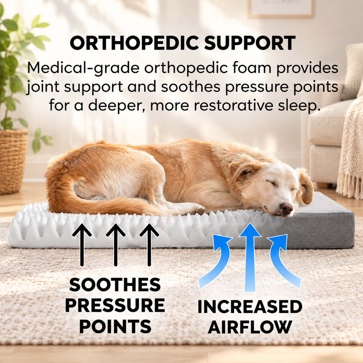 Cooling Gel Memory Foam Pet Bed